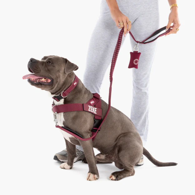 Bungee Dog Leash - Burgundy - Image 5