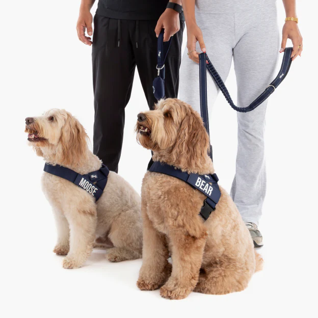 Bungee Dog Leash - Navy Blue - Image 5