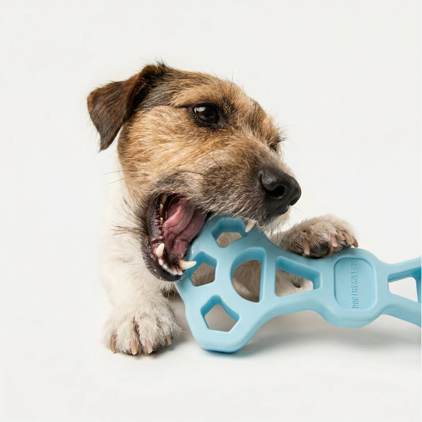 Byte Bone - Image 5