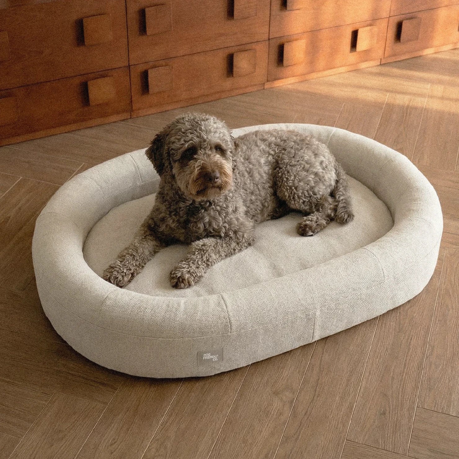 Chill Pill Memory Foam Dog Bed - Beige (Medium) - Image 5