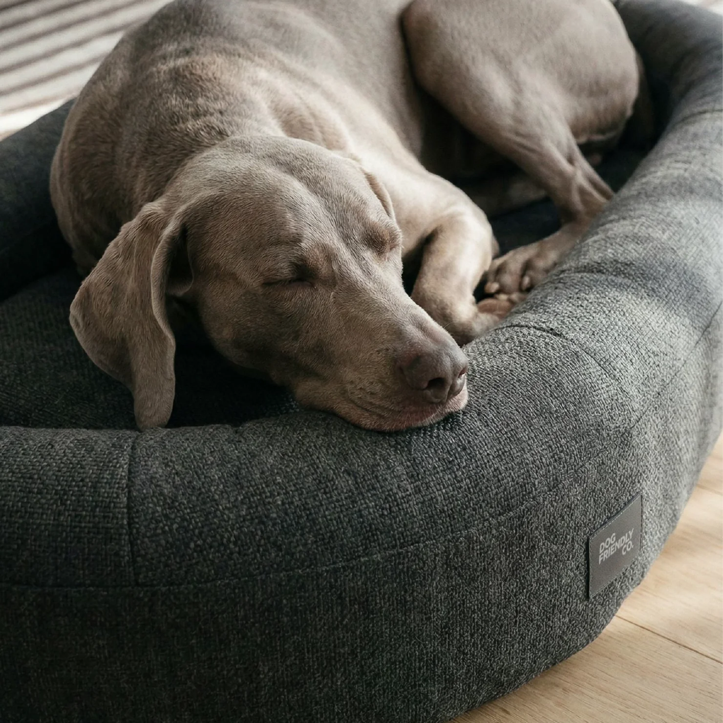 Chill Pill Memory Foam Dog Bed - Charcoal (Large) - Image 6