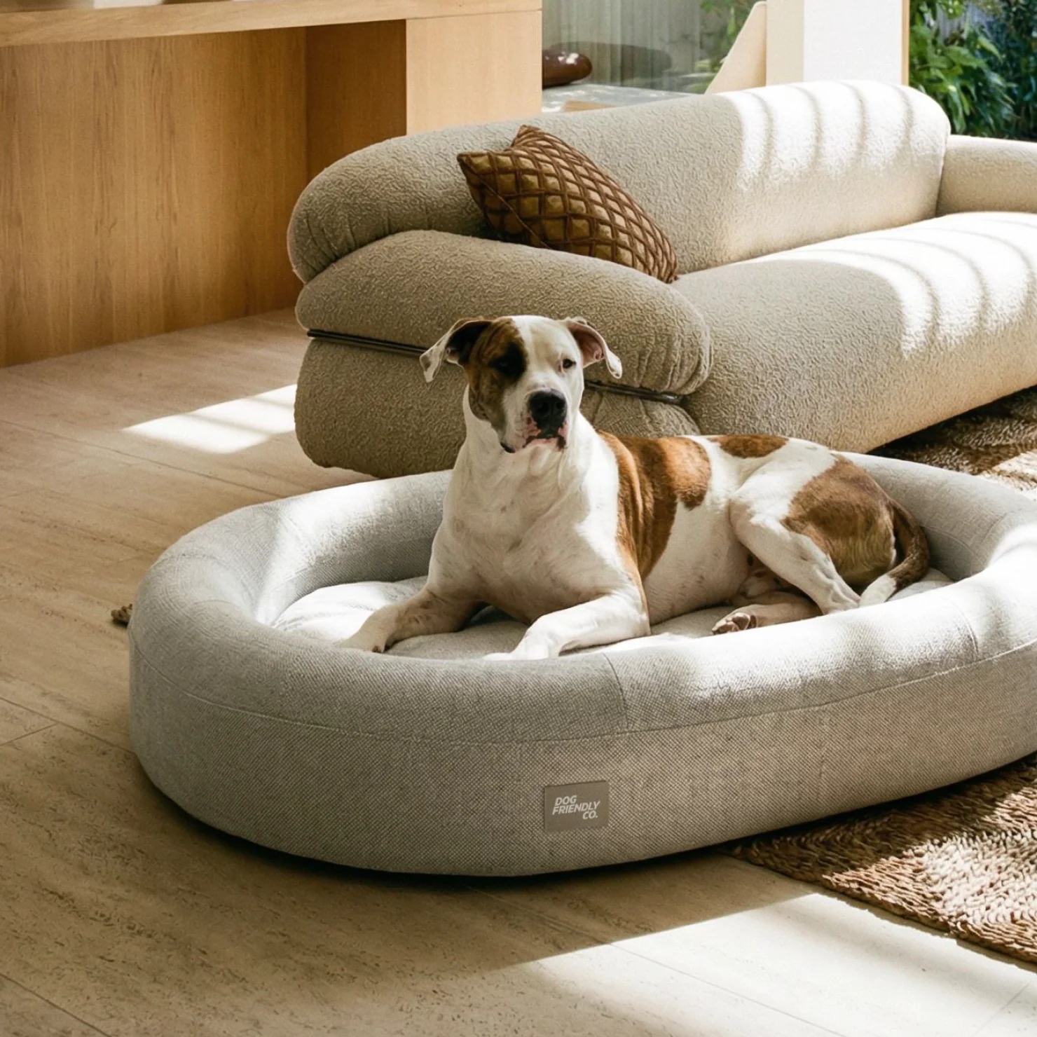 Chill Pill Memory Foam Dog Bed - Grey (Small) - Image 5