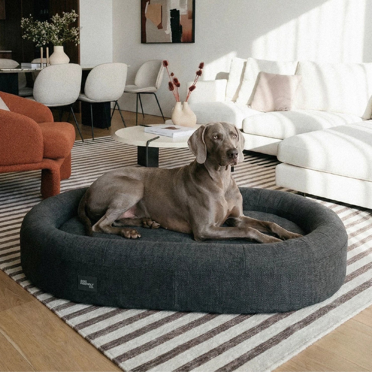 Chill Pill Replacement Cover - Charcoal - Image 5