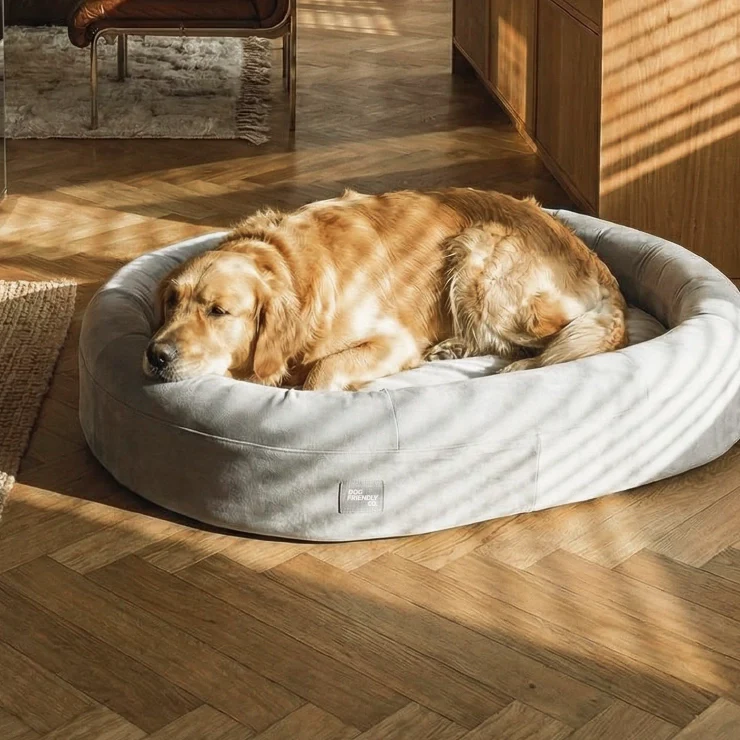 Chill Pill Velvet Easy Fit Cover - Image 13