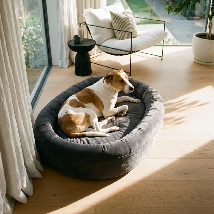 Chill Pill Velvet Easy Fit Cover - Image 21