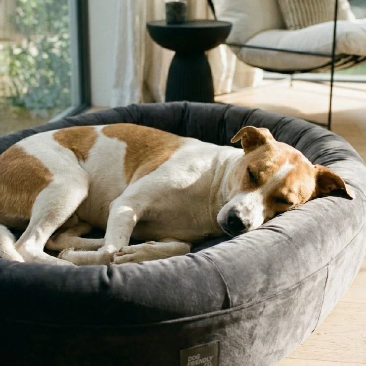 Chill Pill Velvet Easy Fit Cover - Image 22