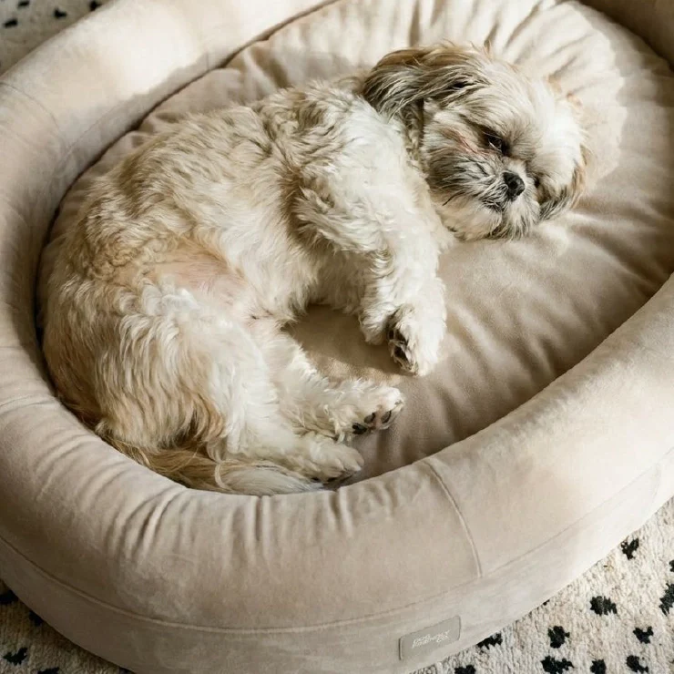 Chill Pill Velvet Easy Fit Cover - Image 6