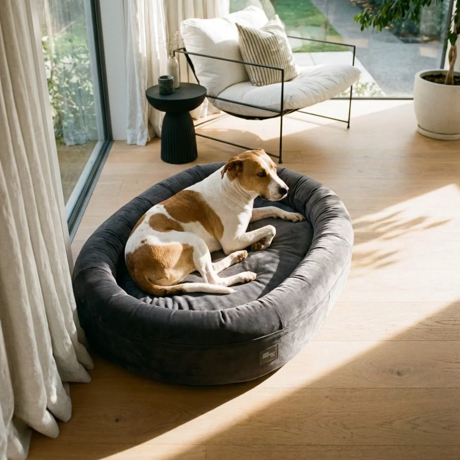 Chill Pill Velvet Easy Fit Cover - Charcoal - Image 5