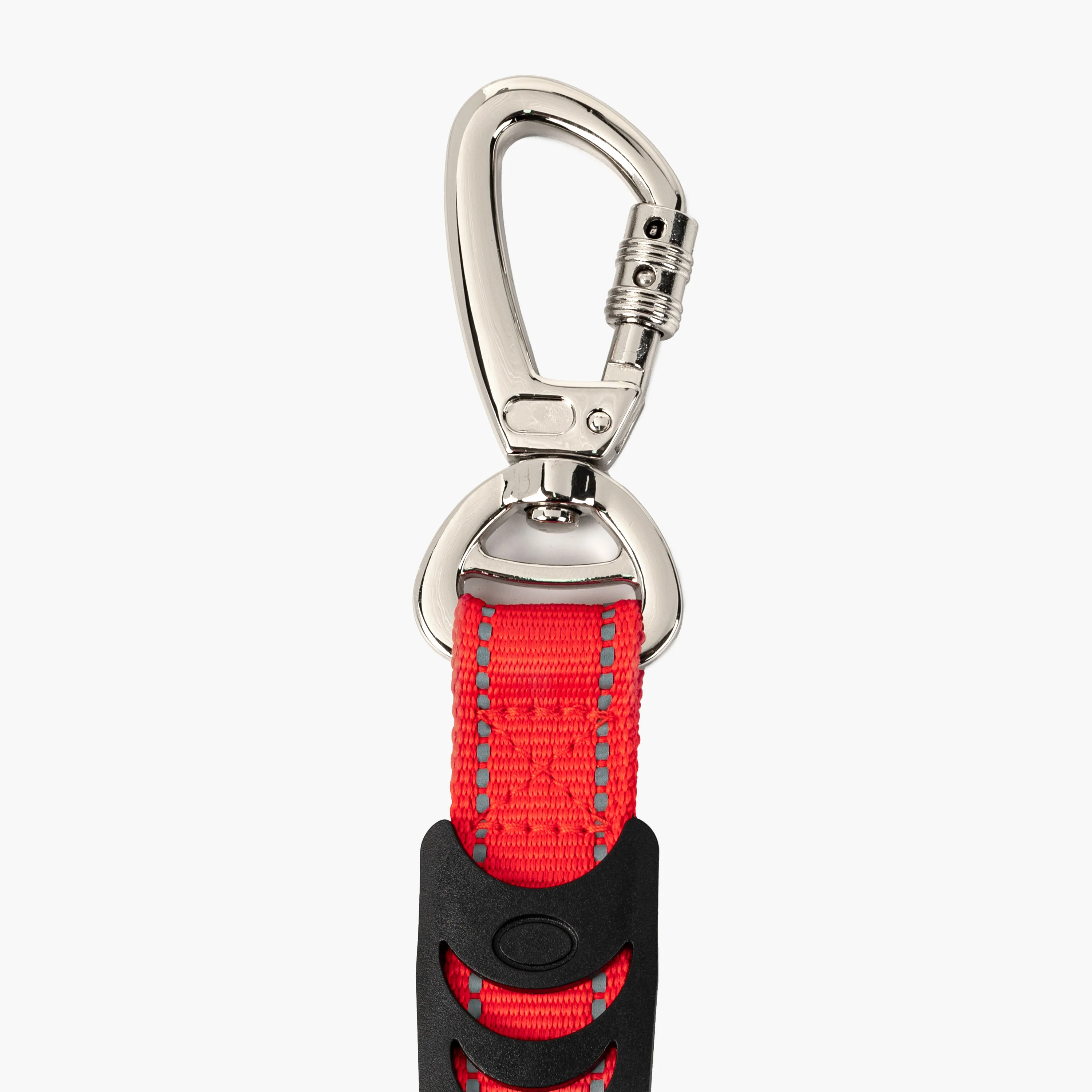 Classic Dog Leash - Image 36