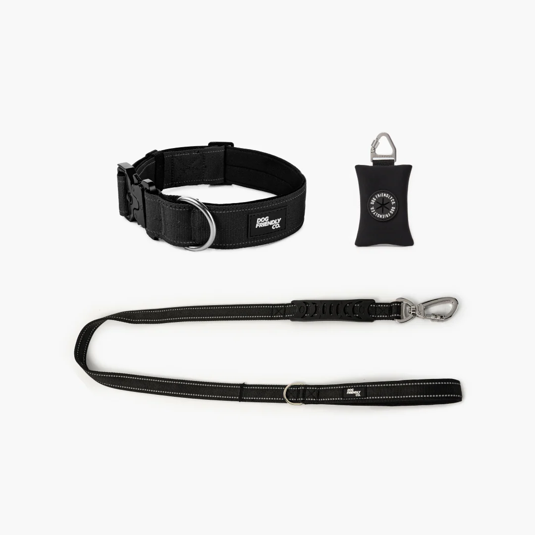 Collar Walk Set - Black - Image 10