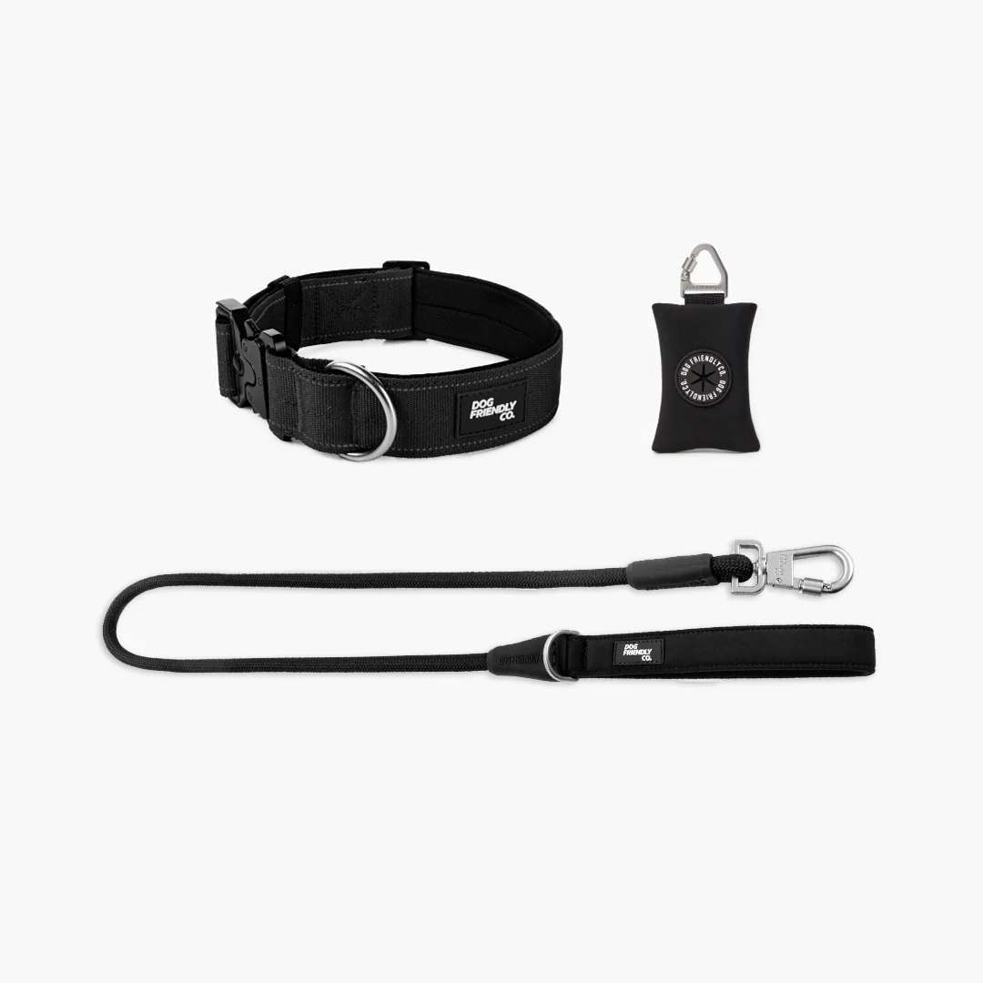 Collar Walk Set - Black - Image 16