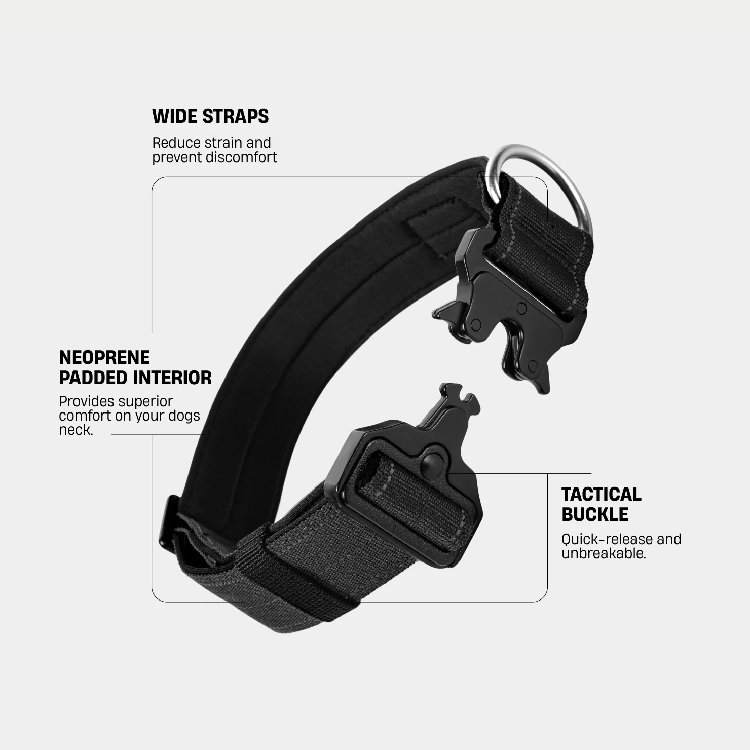 Collar Walk Set - Black - Image 3