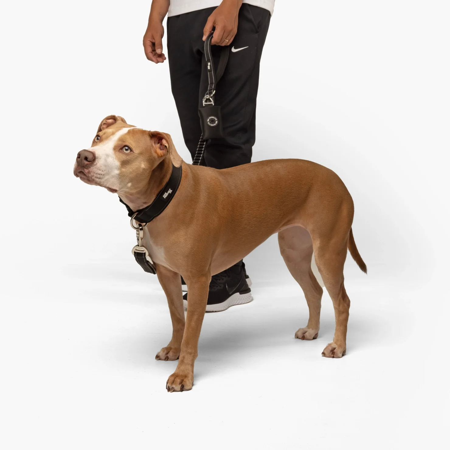 Collar Walk Set - Black - Image 4