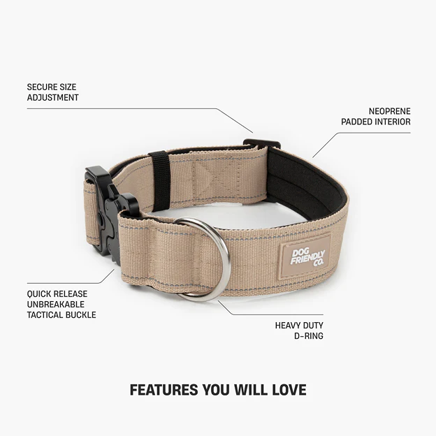Collar Walk Set - Brown - Image 14