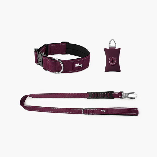 Collar Walk Set - Burgundy - Image 10