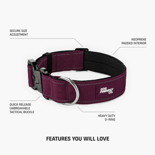Collar Walk Set - Burgundy - Image 14