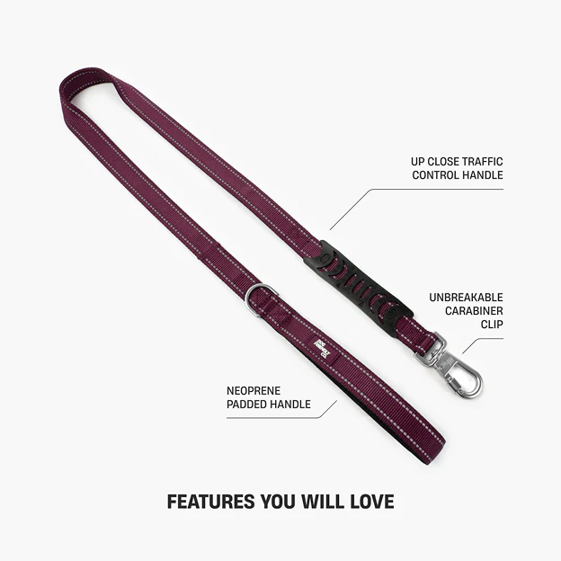 Collar Walk Set - Burgundy - Image 15