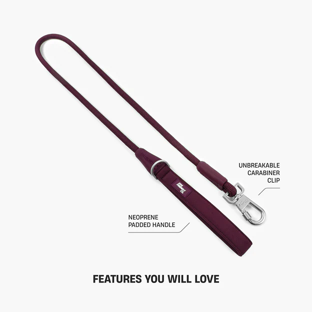 Collar Walk Set - Burgundy - Image 21