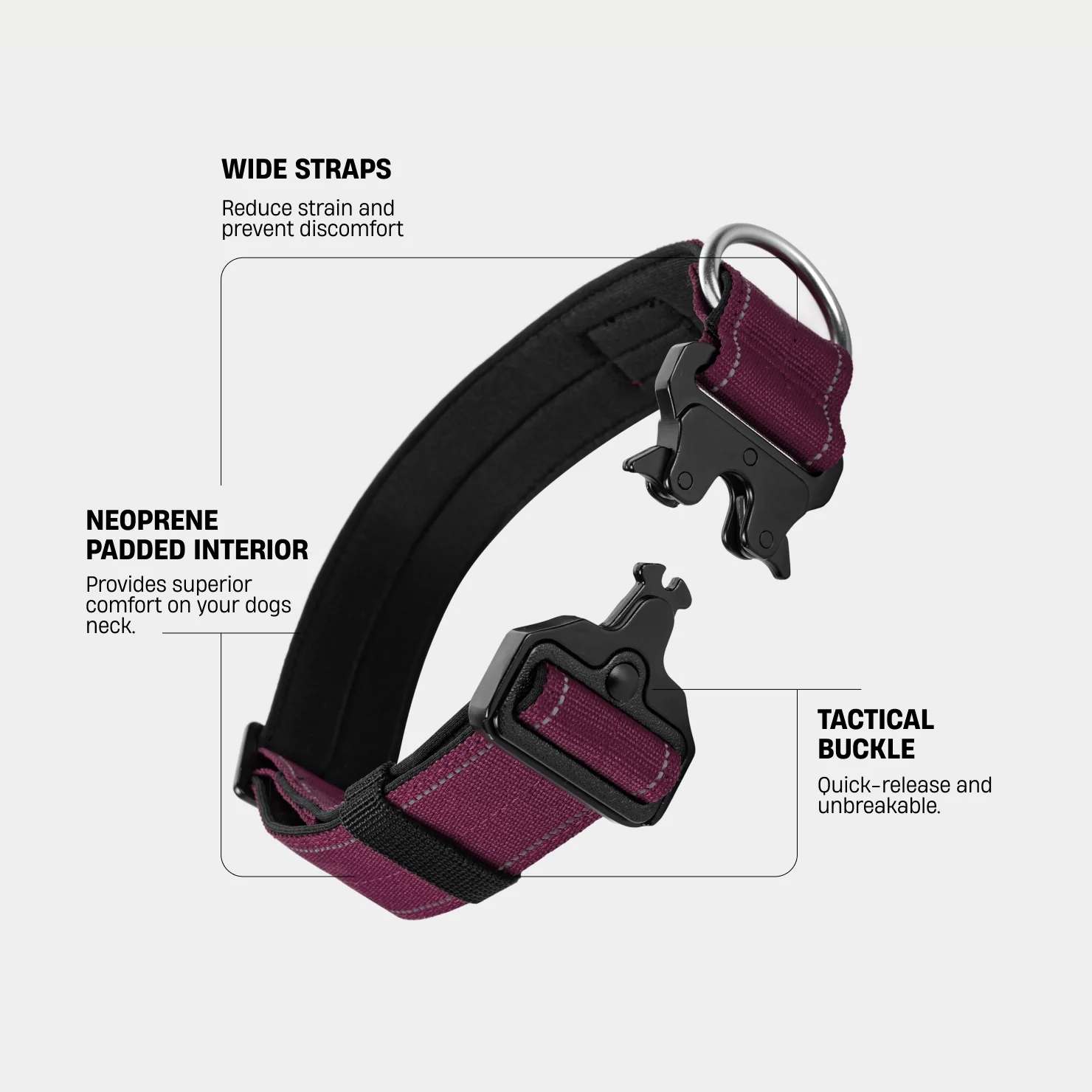 Collar Walk Set - Burgundy - Image 3
