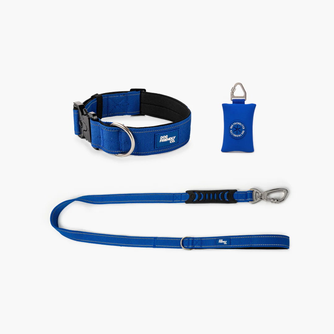 Collar Walk Set - Classic Blue - Image 10
