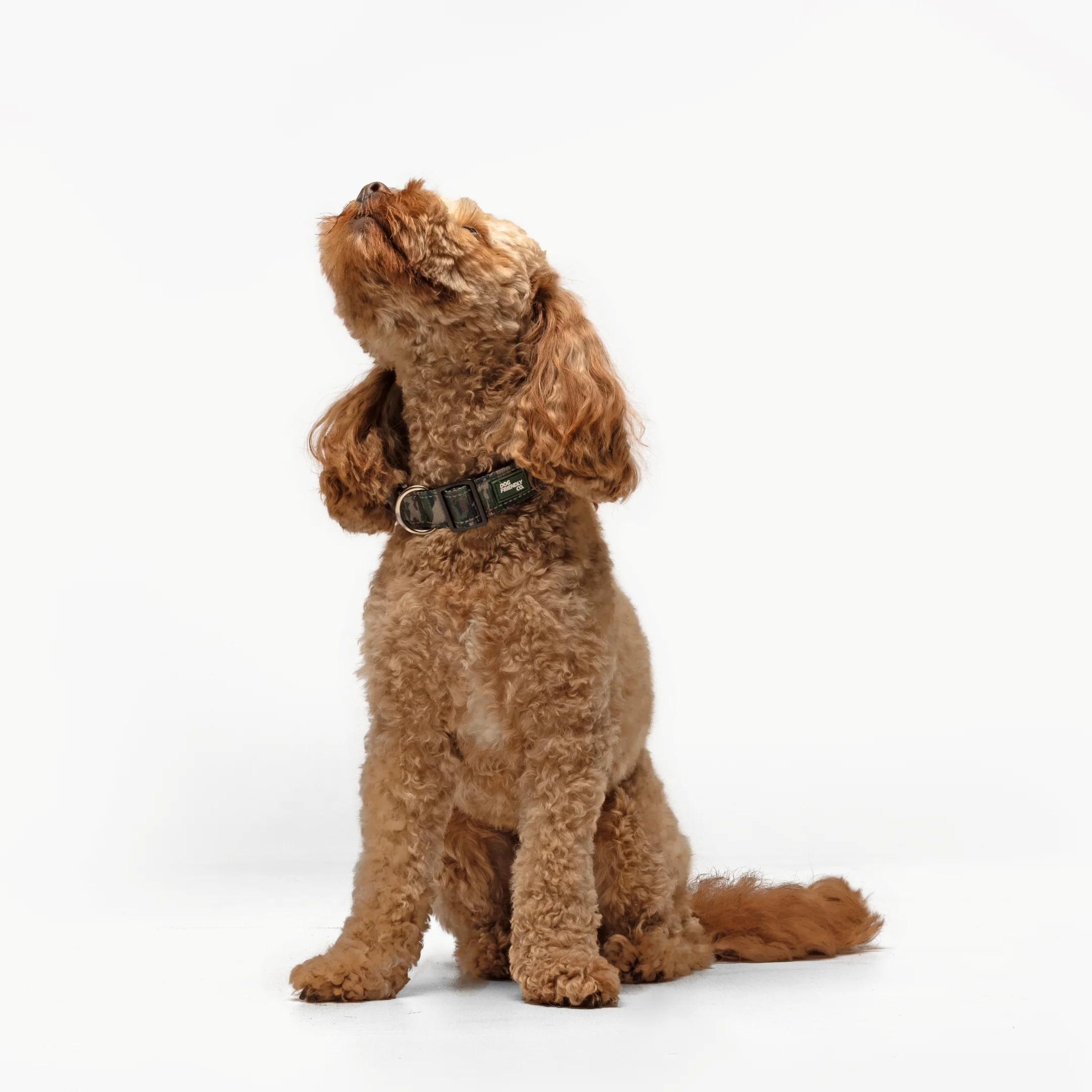 Collar Walk Set - Green Camo - Image 19