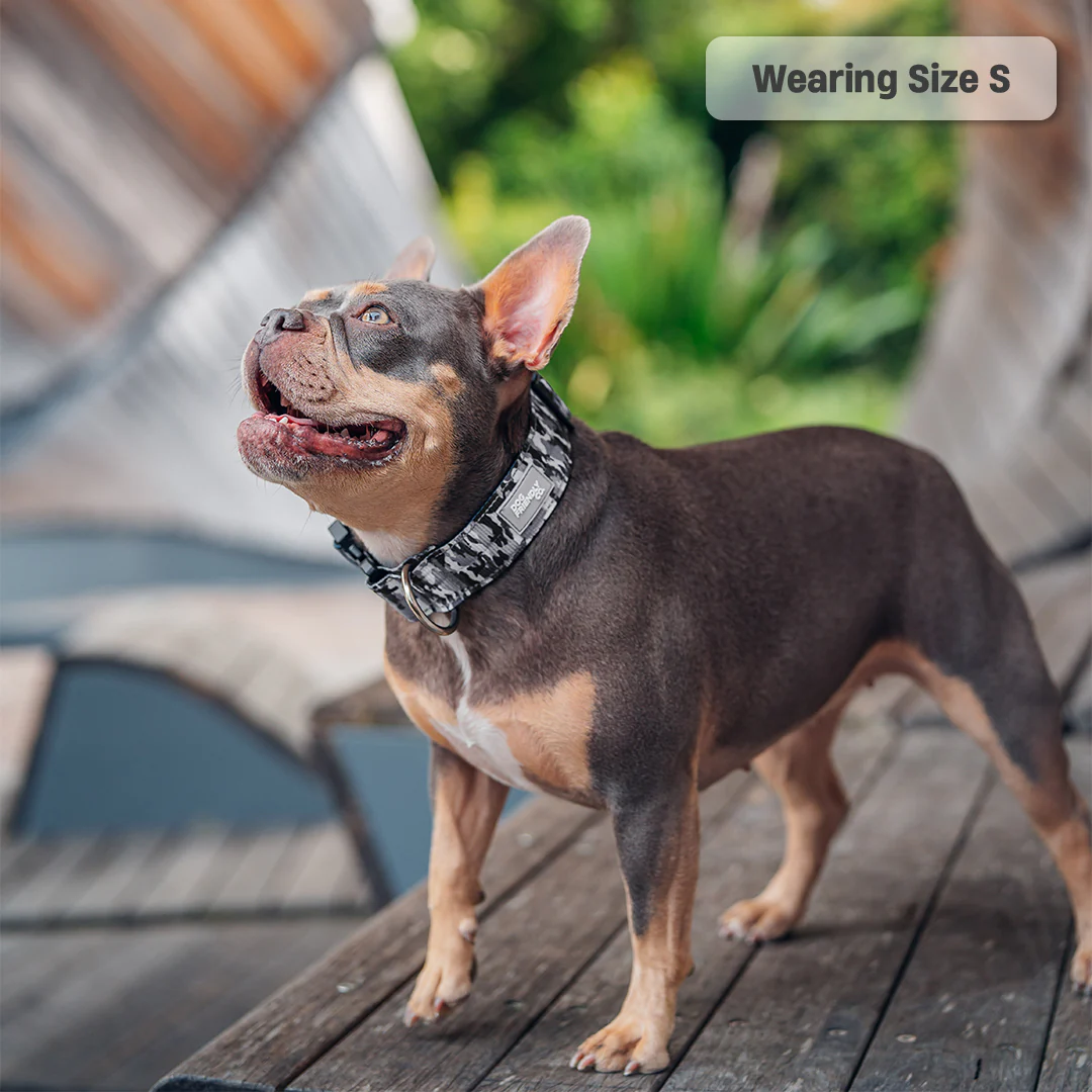 Collar Walk Set - Grey Camo - Image 18