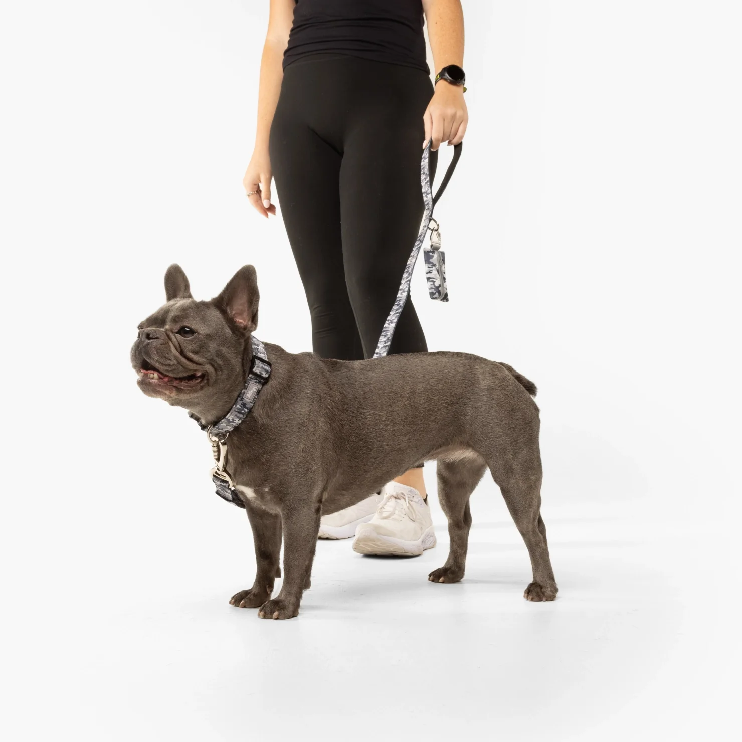 Collar Walk Set - Grey Camo - Image 4