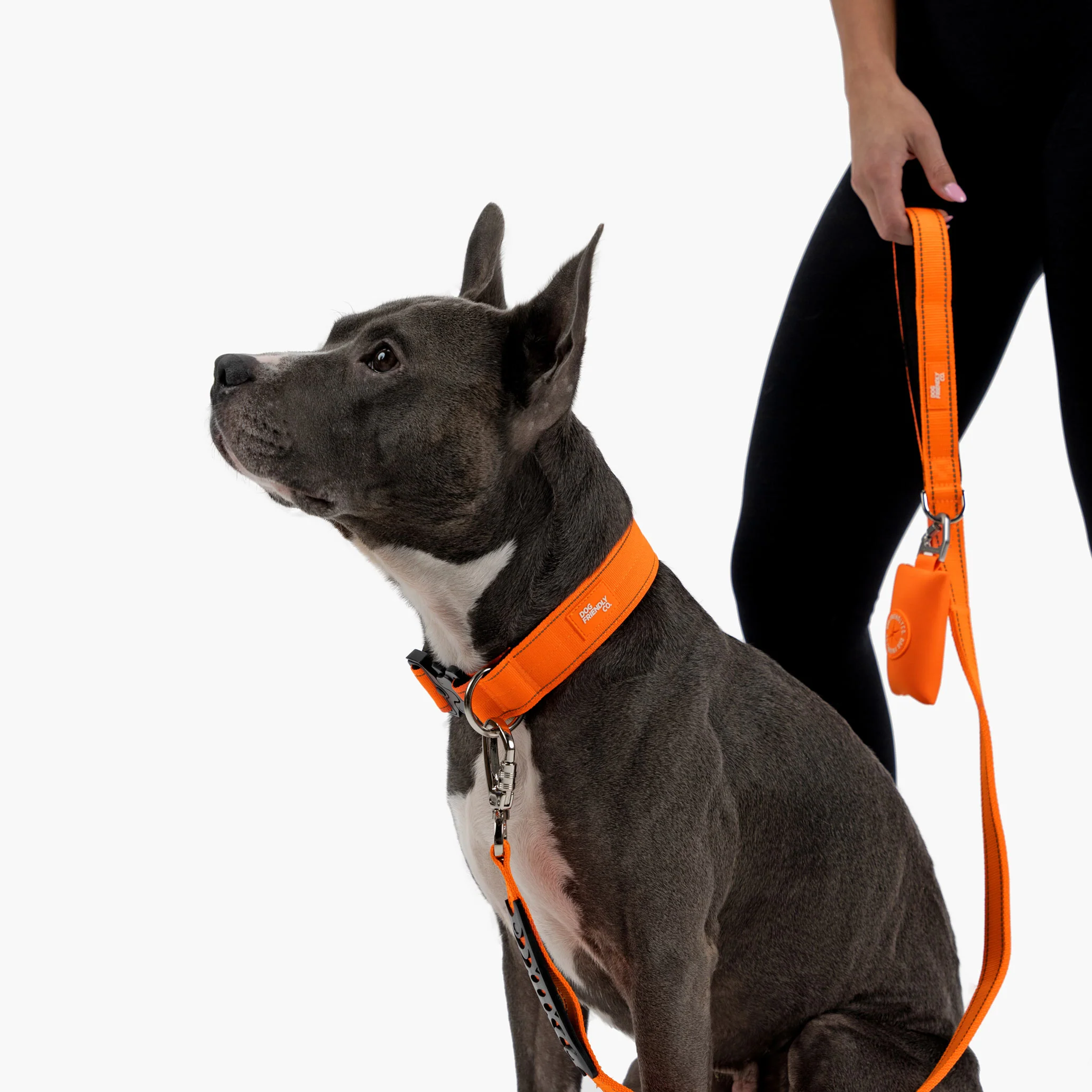 Collar Walk Set - Hi-Vis Orange - Image 17