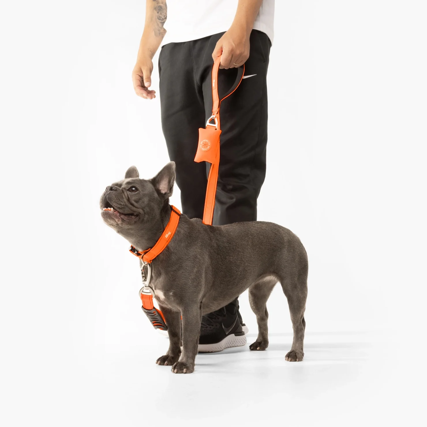 Collar Walk Set - Hi-Vis Orange - Image 4