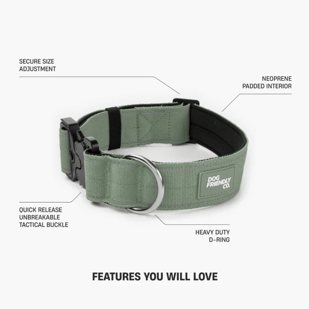 Collar Walk Set - Khaki - Image 14
