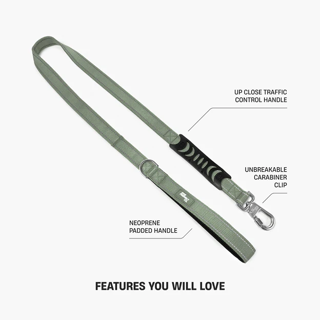 Collar Walk Set - Khaki - Image 15