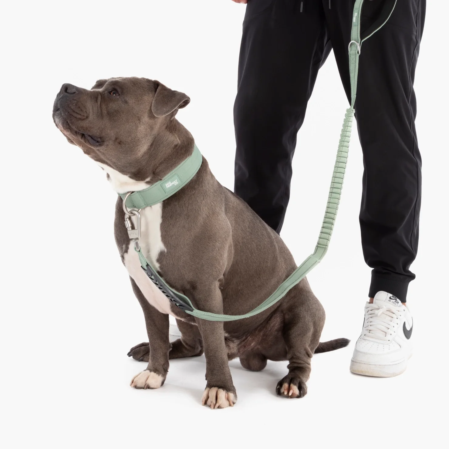 Collar Walk Set - Khaki - Image 21