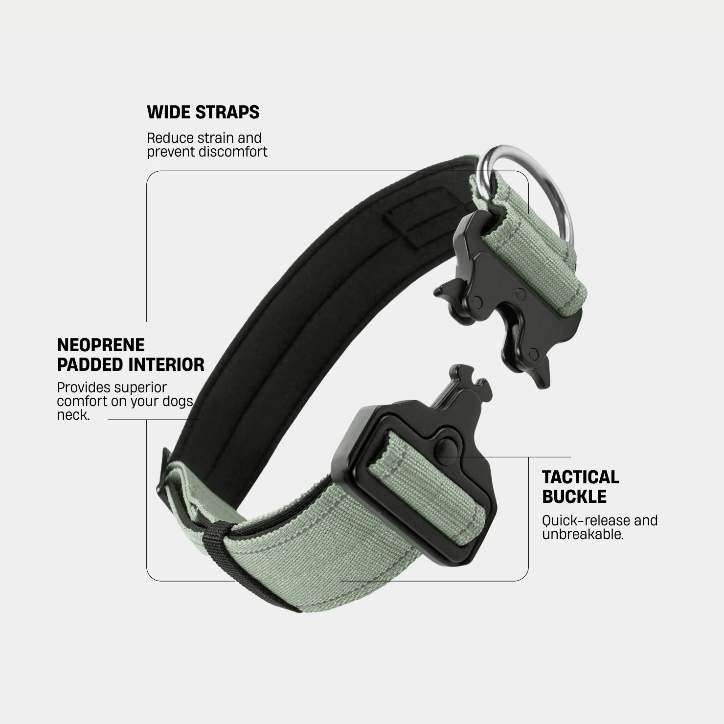 Collar Walk Set - Khaki - Image 3