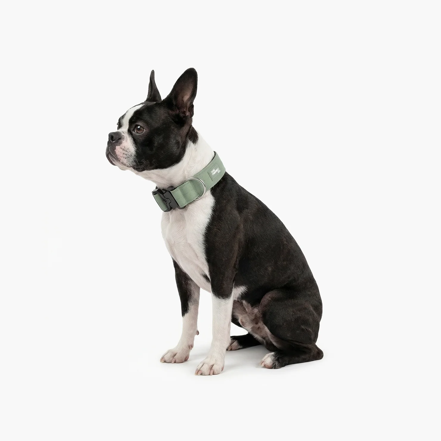 Collar Walk Set - Khaki - Image 5