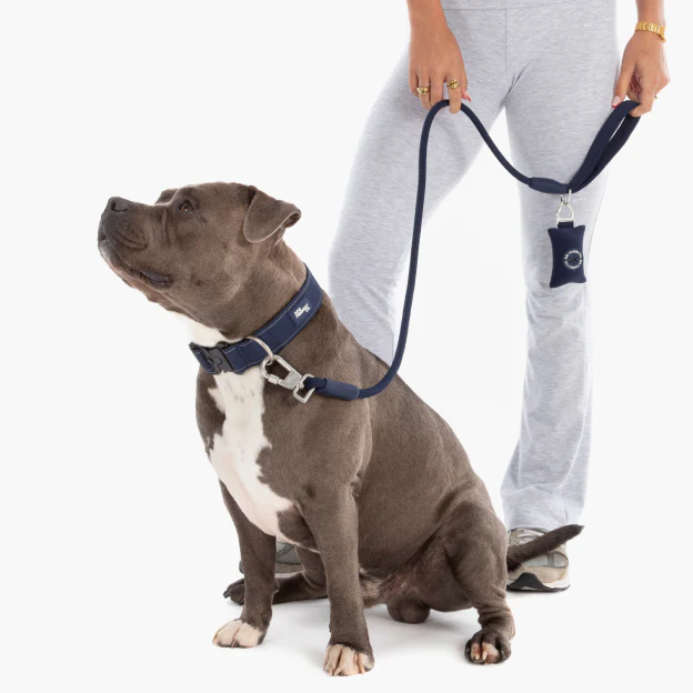 Collar Walk Set - Navy Blue - Image 12