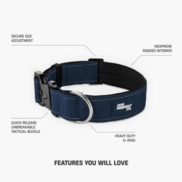 Collar Walk Set - Navy Blue - Image 14