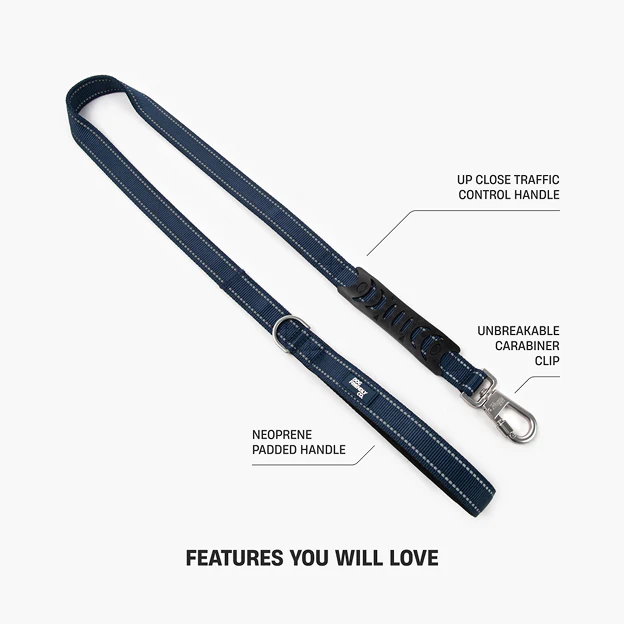 Collar Walk Set - Navy Blue - Image 15