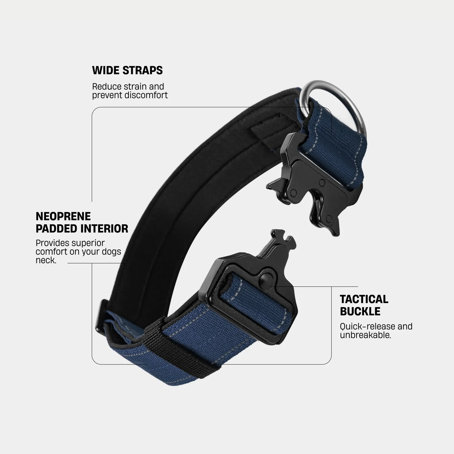 Collar Walk Set - Navy Blue - Image 3