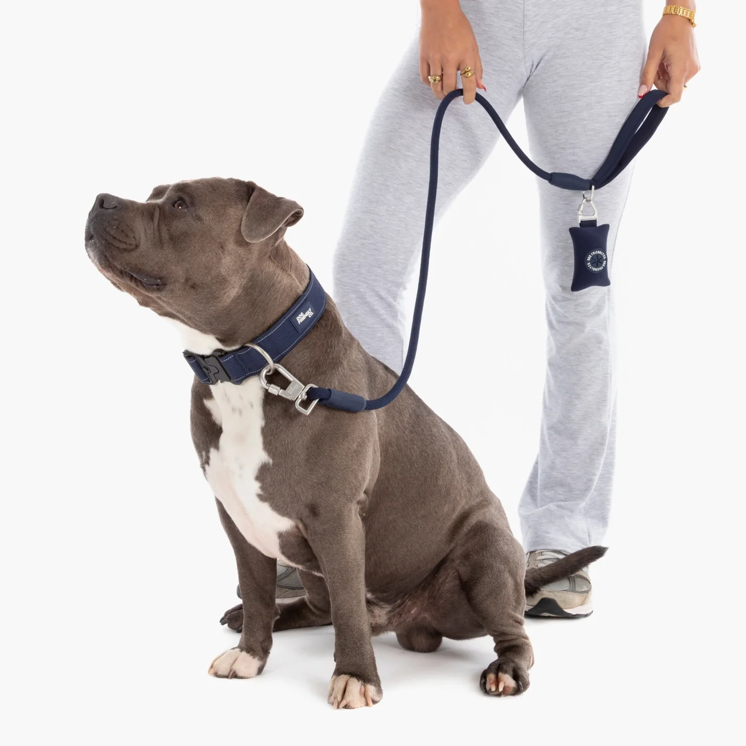 Collar Walk Set - Navy Blue - Image 4