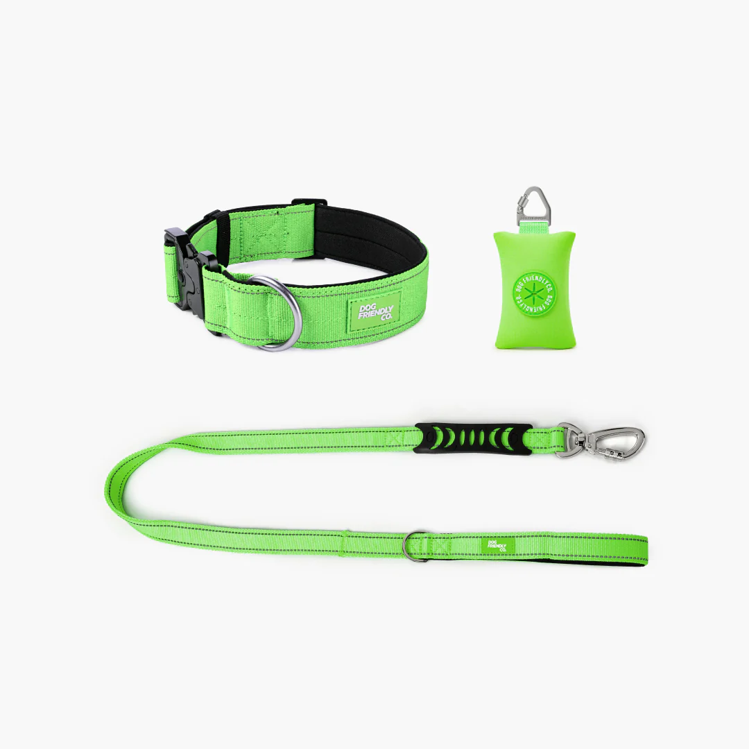 Collar Walk Set - Neon Green - Image 10