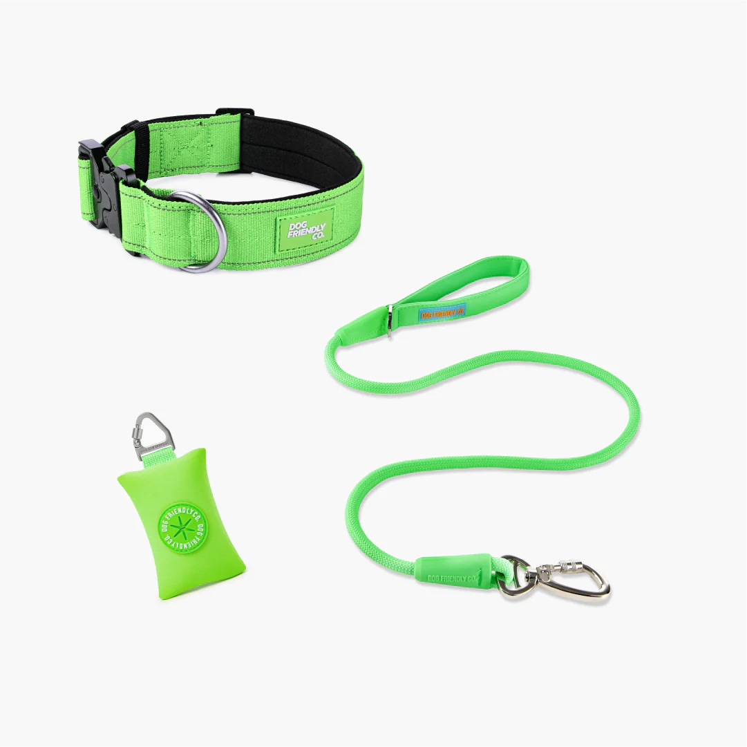 Collar Walk Set - Neon Green - Image 15