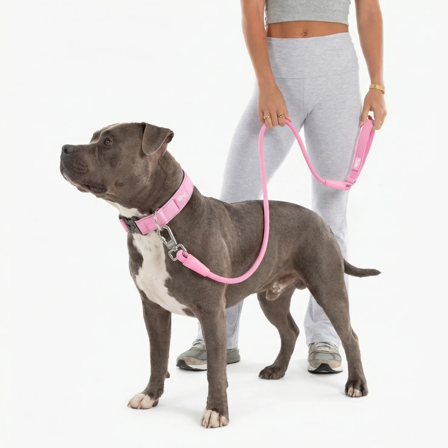 Collar Walk Set - Pink - Image 4