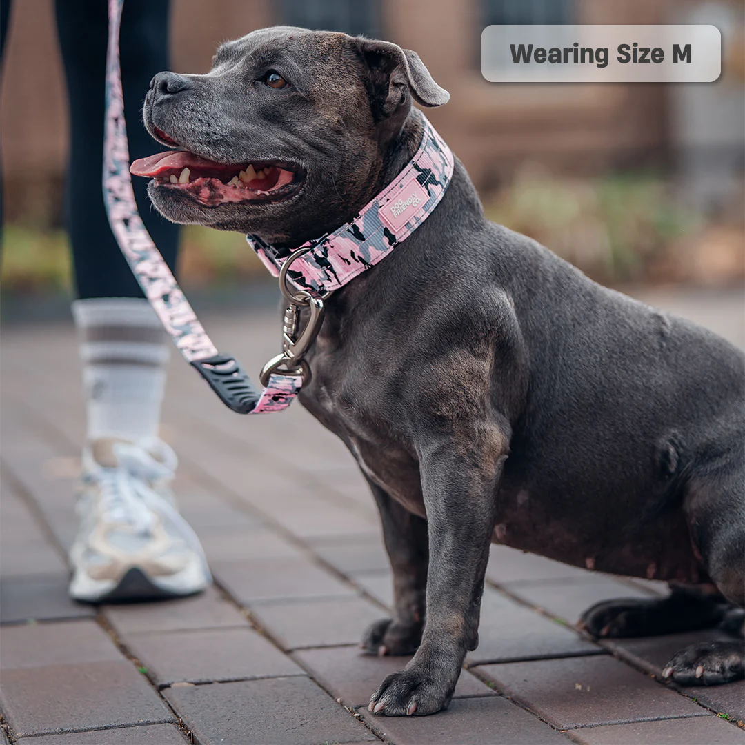 Collar Walk Set - Pink Camo - Image 12
