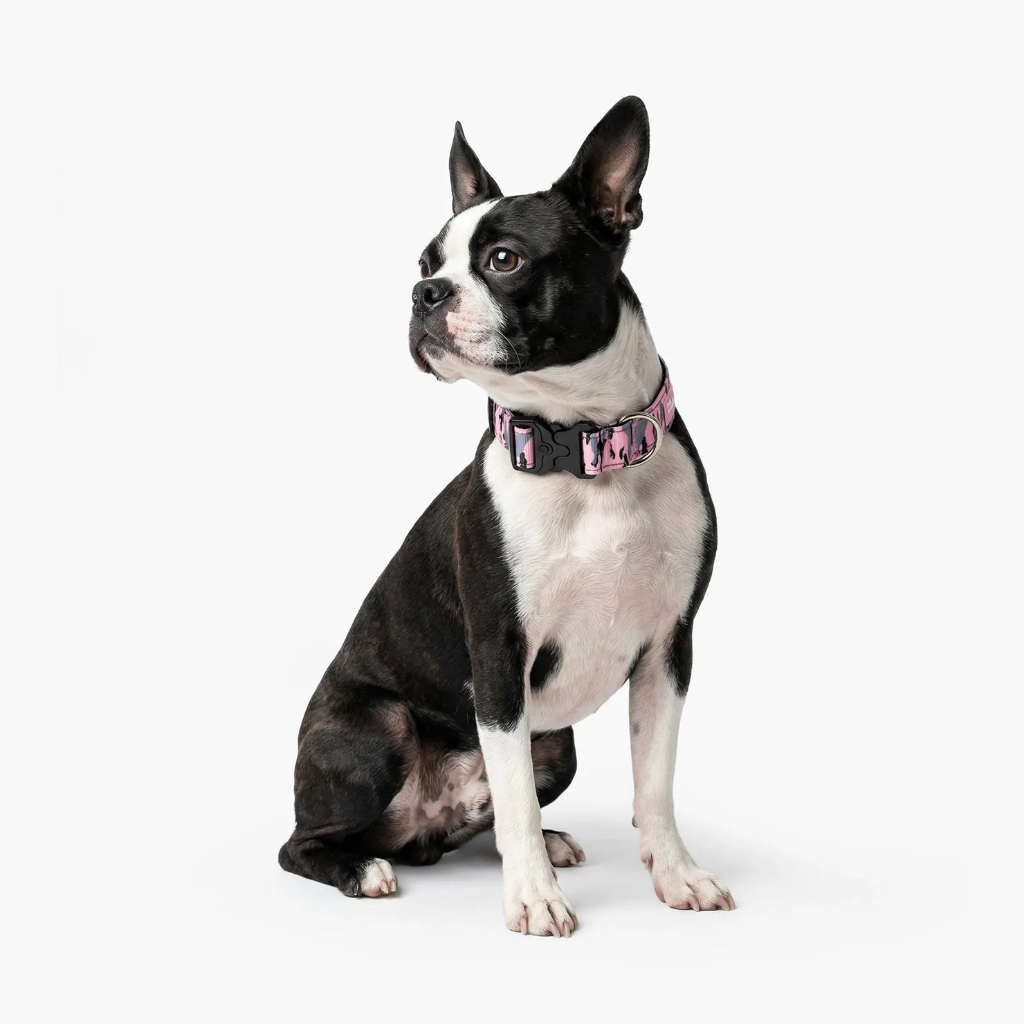 Collar Walk Set - Pink Camo - Image 5