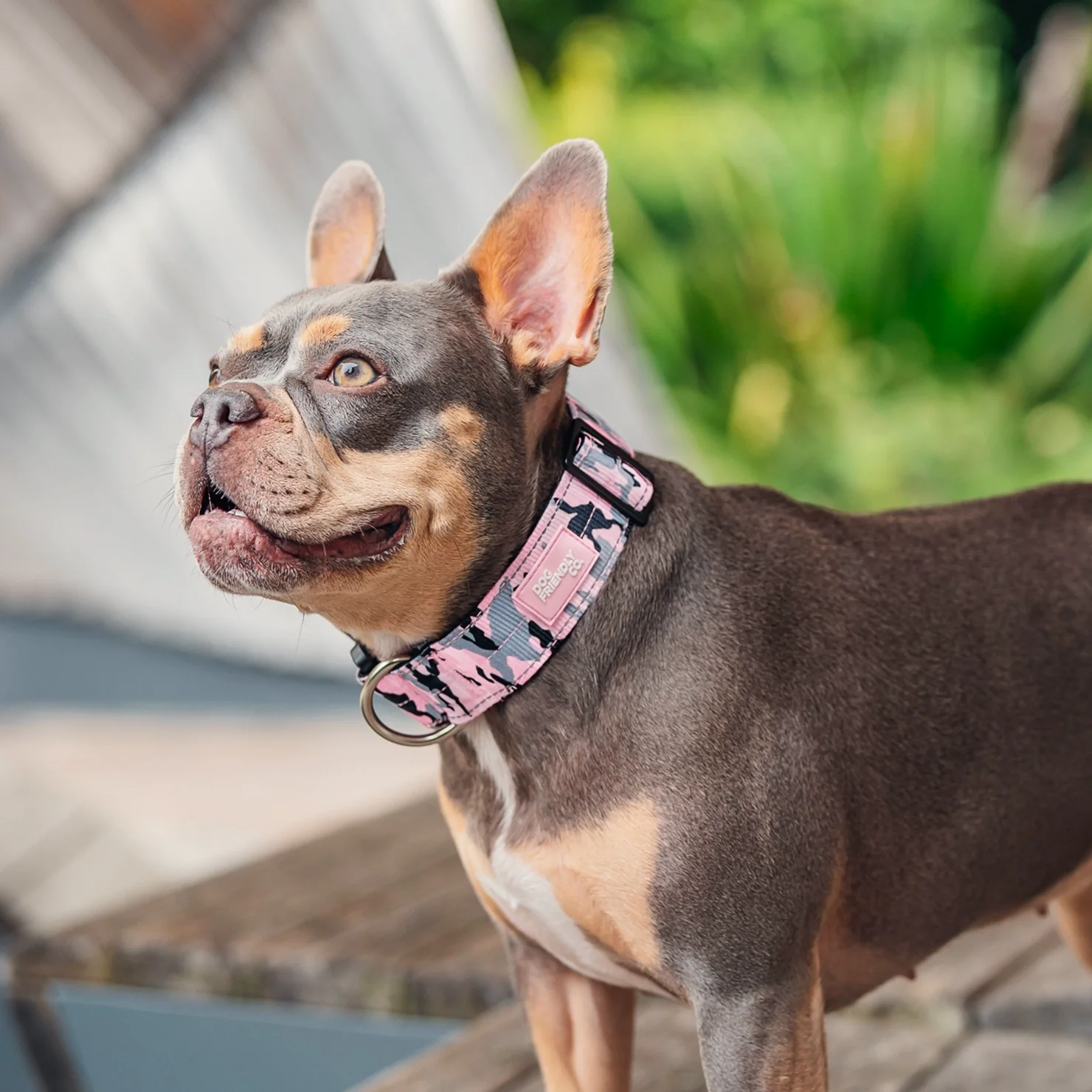 Collar Walk Set - Pink Camo - Image 8