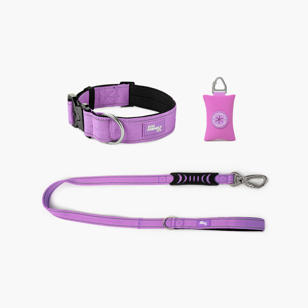 Collar Walk Set - Purple - Image 10
