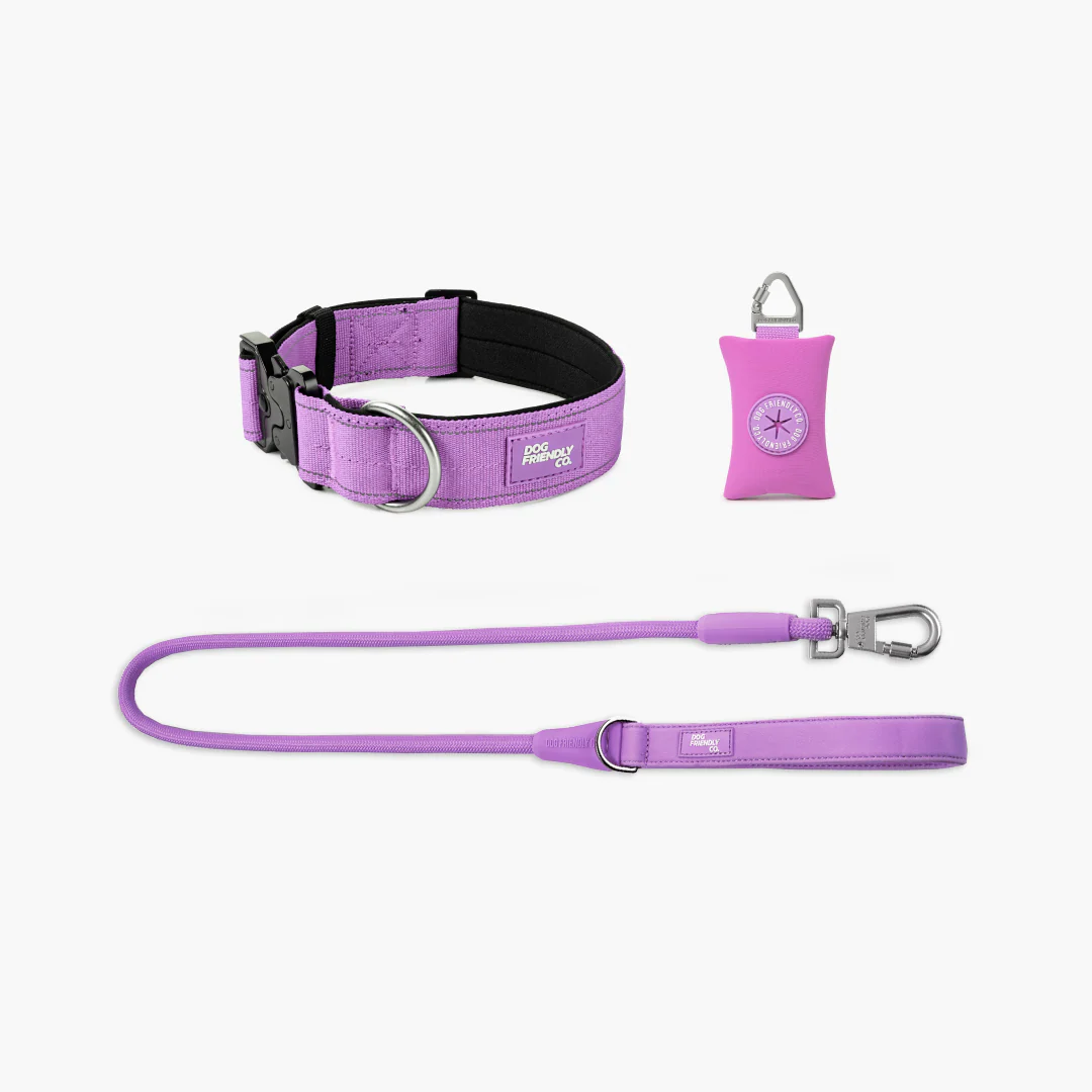 Collar Walk Set - Purple - Image 16