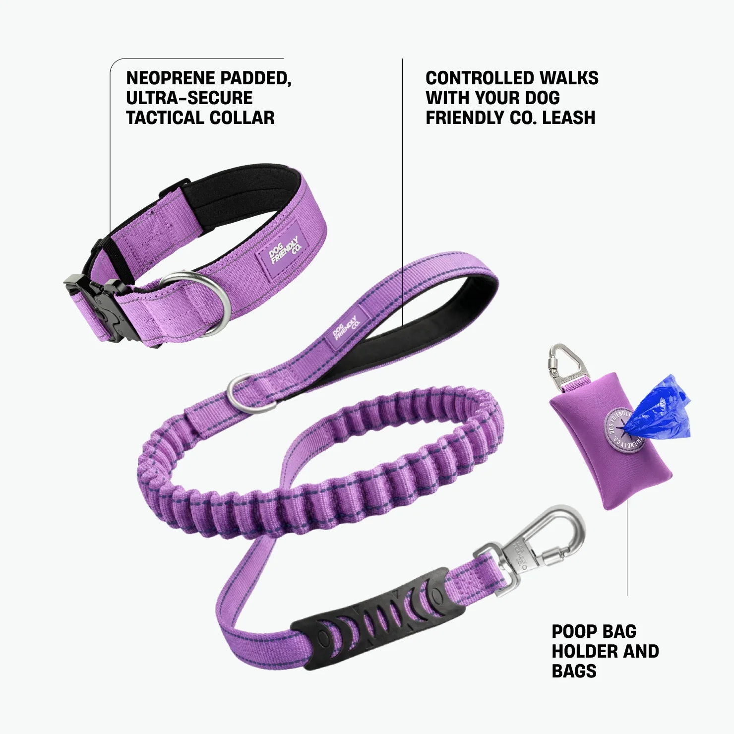 Collar Walk Set - Purple - Image 2