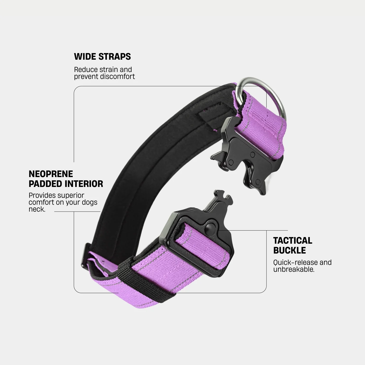 Collar Walk Set - Purple - Image 3