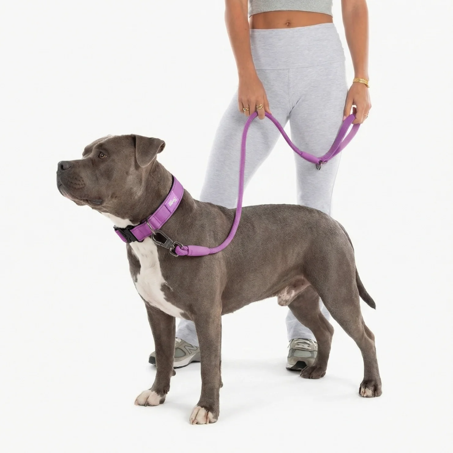 Collar Walk Set - Purple - Image 4